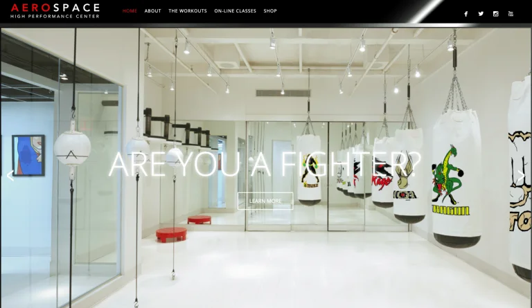 Screen-Shot of website