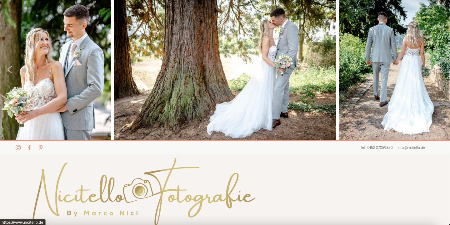 Screen-Shot of nicitello website