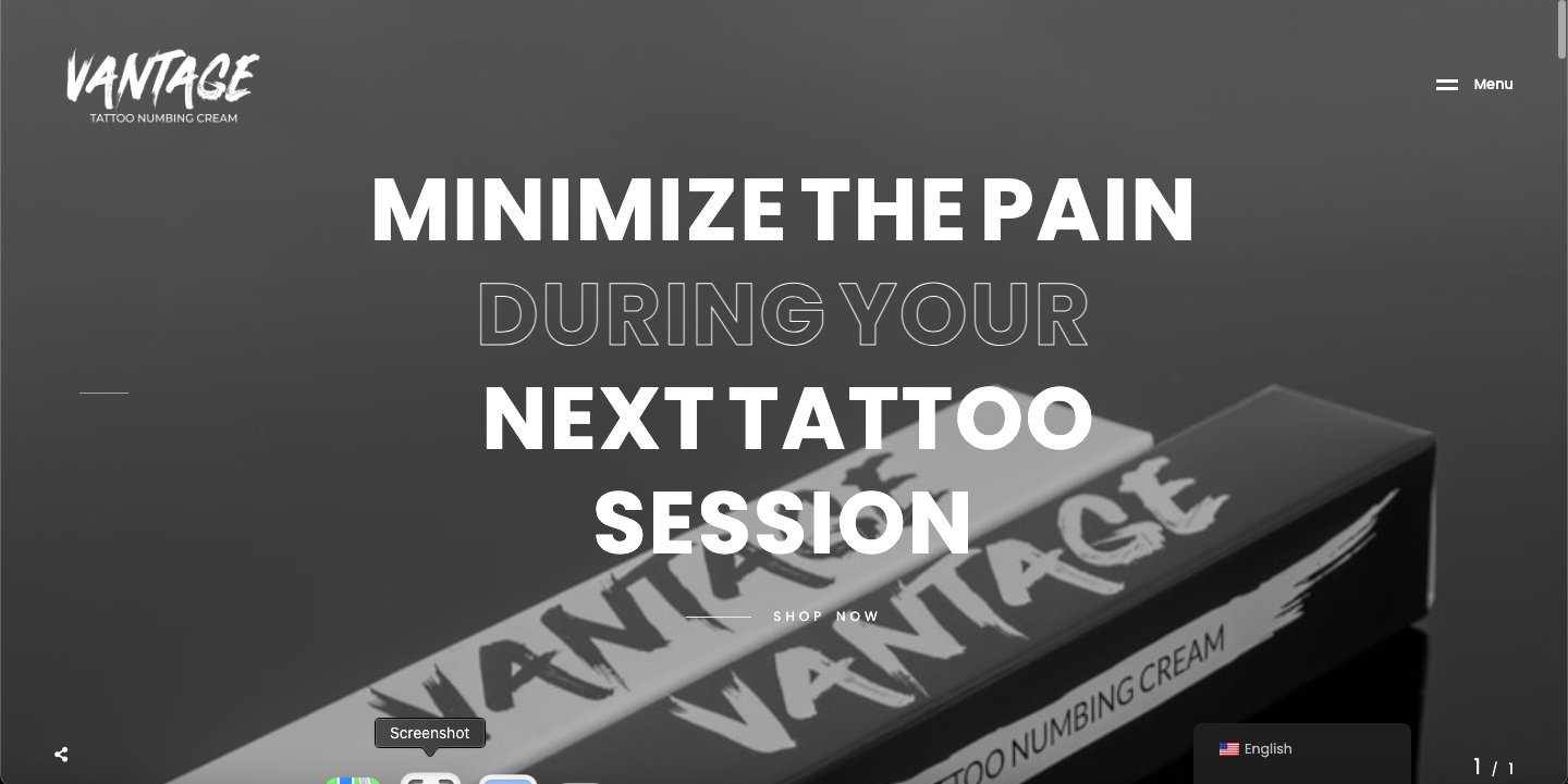 Screen-Shot of vantage website